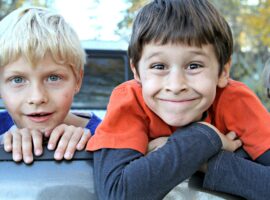 ¿Cómo aprende nuestro cerebro social?