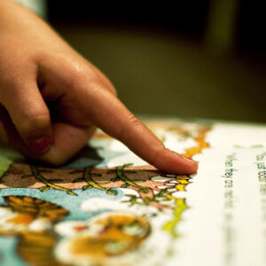 Neurociencia, lenguaje y lectura: enfrentando los desafíos de leer y comprender