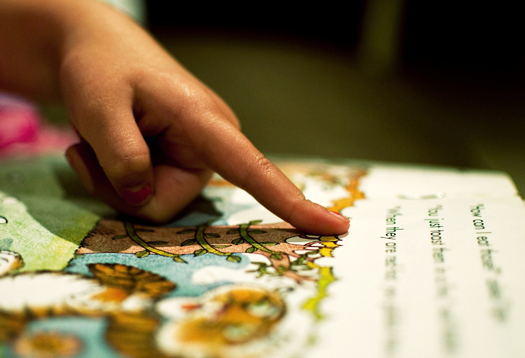 Neurociencia, lenguaje y lectura: enfrentando los desafíos de leer y comprender